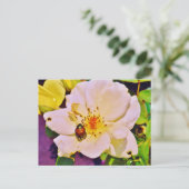 Japanse keet op witte roze briefkaart (Staand voorkant)