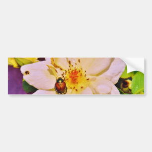 Japanse keet op witte roze bumpersticker