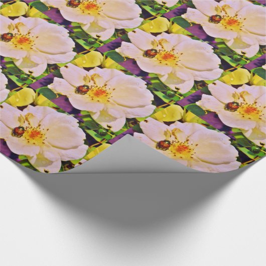 Japanse keet op witte roze cadeaupapier (Hoek)