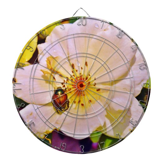 Japanse keet op witte roze dartbord (Voorkant)