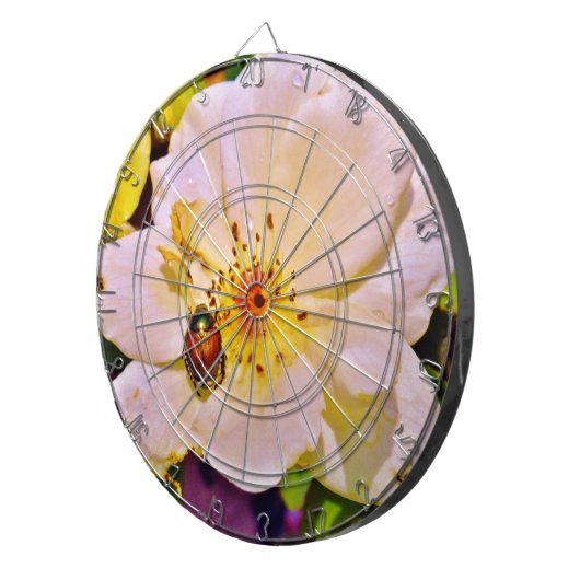 Japanse keet op witte roze dartbord (Voorkant Rechts)