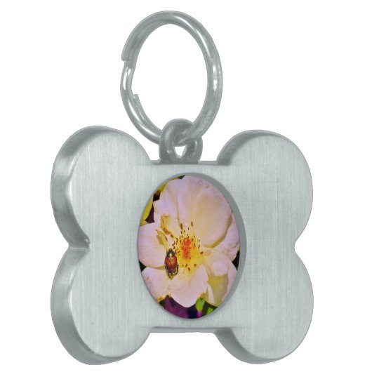 Japanse keet op witte roze huisdieren naamplaatje (Voorkant Links)