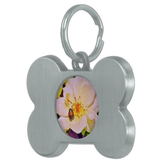 Japanse keet op witte roze huisdieren naamplaatje (Voorkant Rechts)