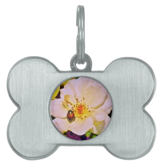 Japanse keet op witte roze huisdieren naamplaatje (voorkant)