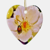 Japanse keet op witte roze keramisch ornament (Rechts)