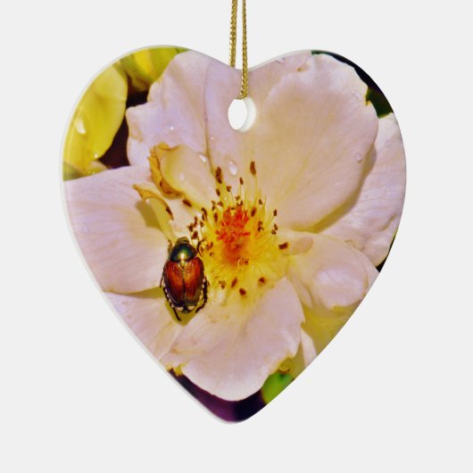 Japanse keet op witte roze keramisch ornament (Rechts)