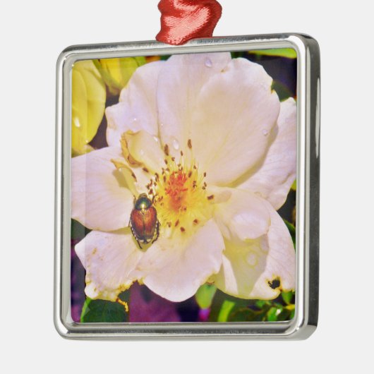 Japanse keet op witte roze metalen ornament (Links)