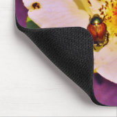 Japanse keet op witte roze muismat (Hoek)