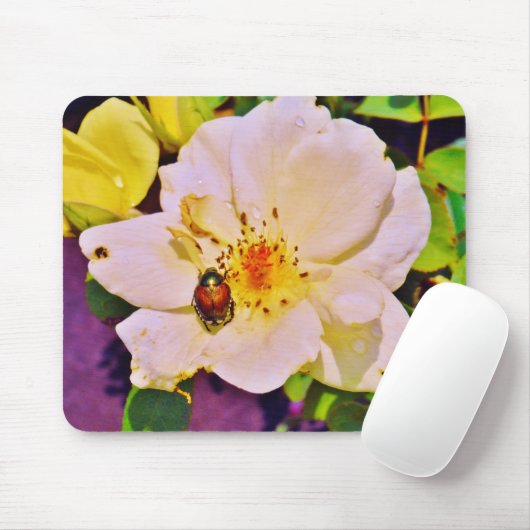 Japanse keet op witte roze muismat (Met muis)