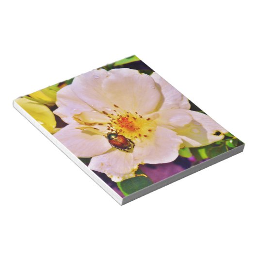 Japanse keet op witte roze notitieblok (Schuin)