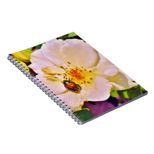 Japanse keet op witte roze notitieboek (Rechterzijde)