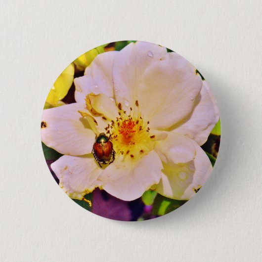 Japanse keet op witte roze ronde button 5,7 cm (Voorkant)