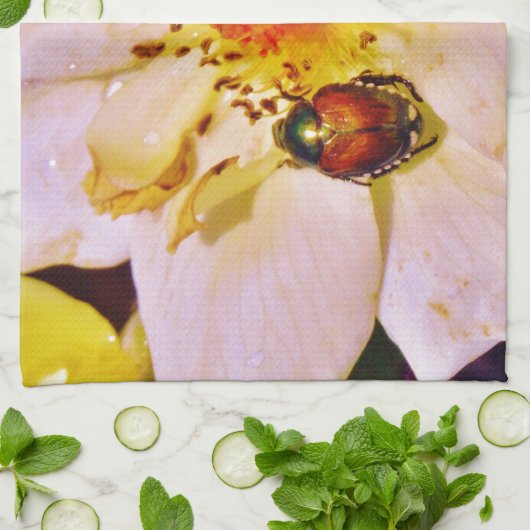 Japanse keet op witte roze theedoek (Gevouwen)