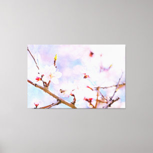 Japanse kers - Sakura in Bloom Canvas Afdruk