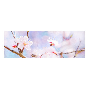 Japanse kers - Sakura in Bloom Foto Afdruk