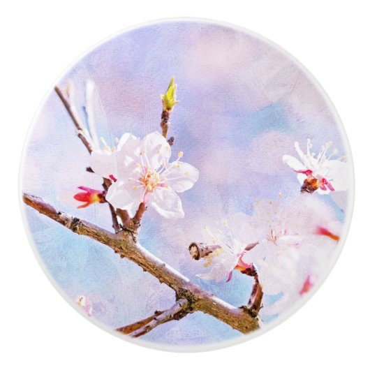 Japanse kers - Sakura in Bloom Keramische Knop (Voorkant)