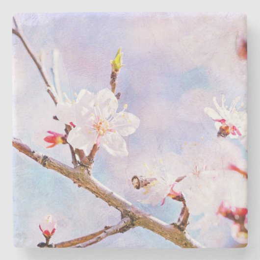Japanse kers - Sakura in Bloom Stenen Onderzetter (Voorkant)
