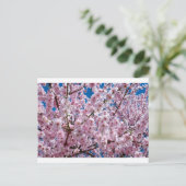 Japanse kersenbloem briefkaart (Staand voorkant)
