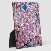 Japanse kersenbloem fotoplaat (Zijkant)