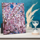 Japanse kersenbloem fotoplaat (Zijkant)