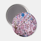 Japanse kersenbloem magneet (Voorkant / Achterkant)