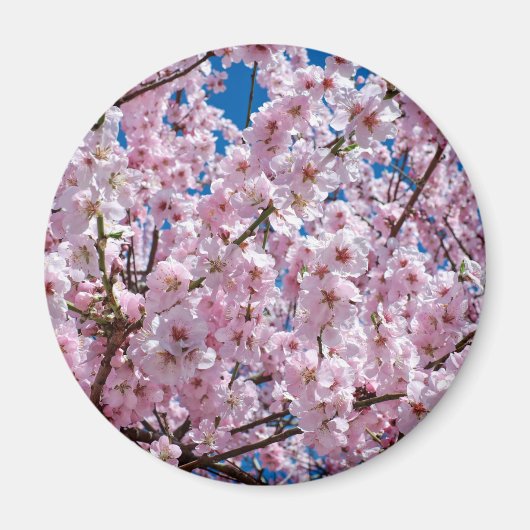 Japanse kersenbloem magneet (Voorkant)