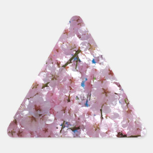 Japanse kersenbloem sticker