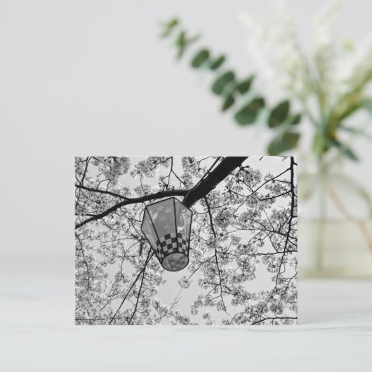 Japanse Kersenbloesem en Lantaarn Briefkaart (Staand voorkant)