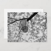 Japanse Kersenbloesem en Lantaarn Briefkaart (Voorkant / Achterkant)