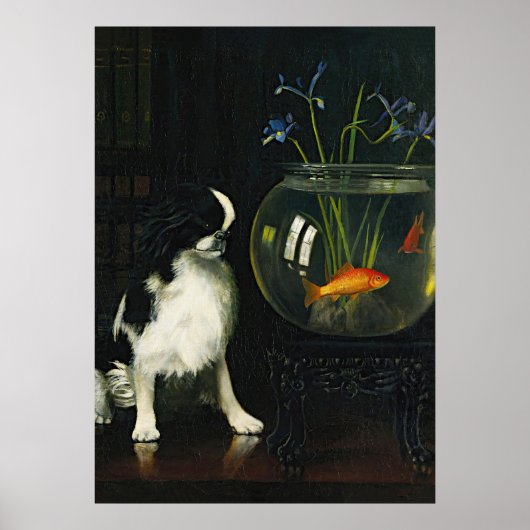 Japanse kin en goudvis,  kunst poster (Voorkant)