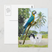 Japanse kin en Macaw Briefkaart (Voorkant / Achterkant)