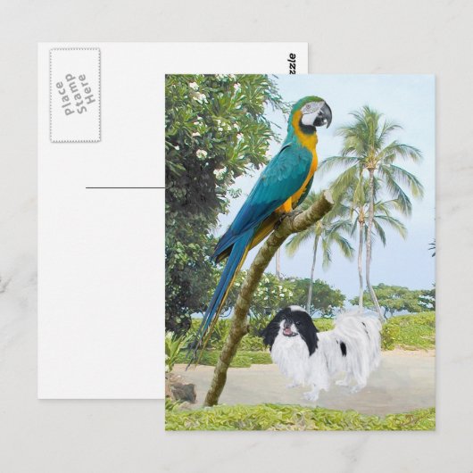 Japanse kin en Macaw Briefkaart (Voorkant / Achterkant)