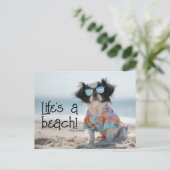 Japanse kin puppy dragen zonnebril briefkaart (Staand voorkant)