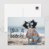 Japanse kin puppy dragen zonnebril briefkaart (Voorkant / Achterkant)