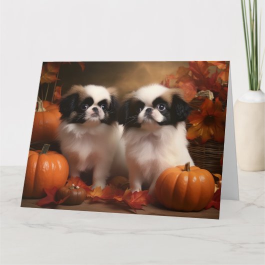 Japanse kin puppy herfst verrukking pompoen kaart (Voorkant)