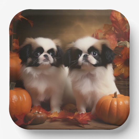 Japanse kin puppy herfst verrukking pompoen papieren bordje (Voorkant)