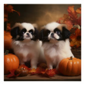 Japanse kin puppy herfst verrukking pompoen perfect poster (Voorkant)
