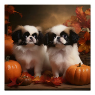 Japanse kin puppy herfst verrukking pompoen perfect poster