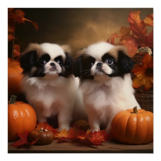 Japanse kin puppy herfst verrukking pompoen perfect poster (Voorkant)