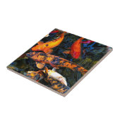 Japanse Koi - Cyprinus carpio haematopterus Tegeltje (Zijkant)