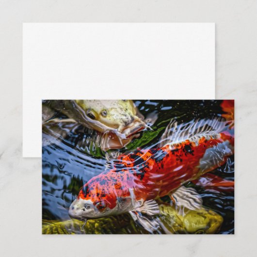 Japanse Koi Fish Pond Bedankkaart (Voorkant / Achterkant)