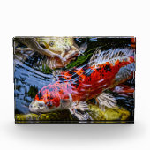 Japanse Koi Fish Pond Fotoblokken (Voorkant)