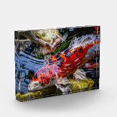Japanse Koi Fish Pond Fotoblokken (Links)