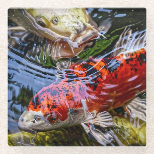 Japanse Koi Fish Pond Glazen Onderzetter (Voorkant)