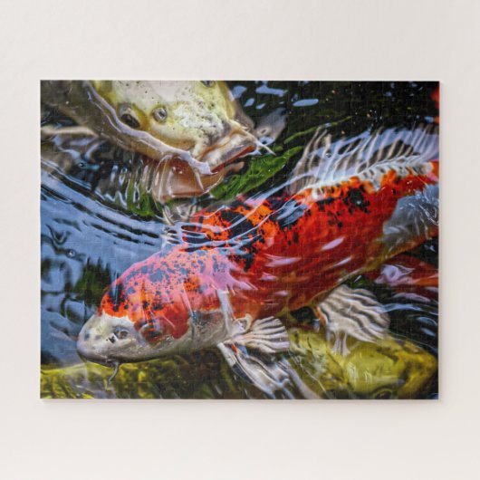 Japanse Koi Fish Pond Legpuzzel (Horizontaal)