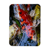 Japanse Koi Fish Pond Magneet (Verticaal)