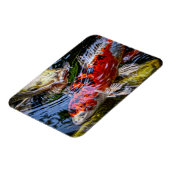 Japanse Koi Fish Pond Magneet (Linkerzijde)