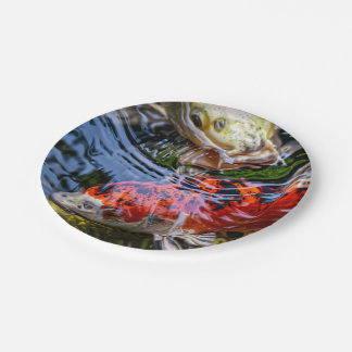 Japanse Koi Fish Pond Papieren Bordje