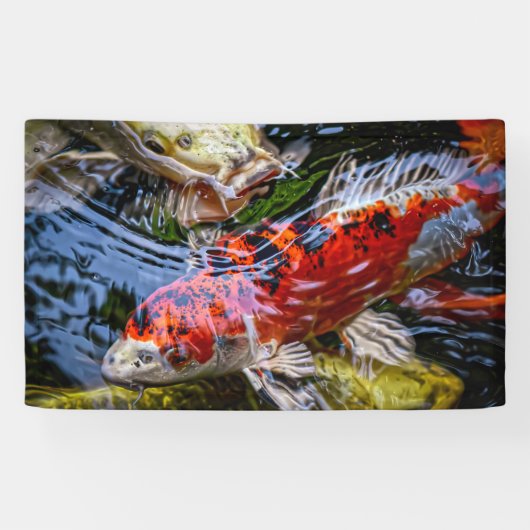 Japanse Koi Fish Pond Spandoek (Horizontaal)
