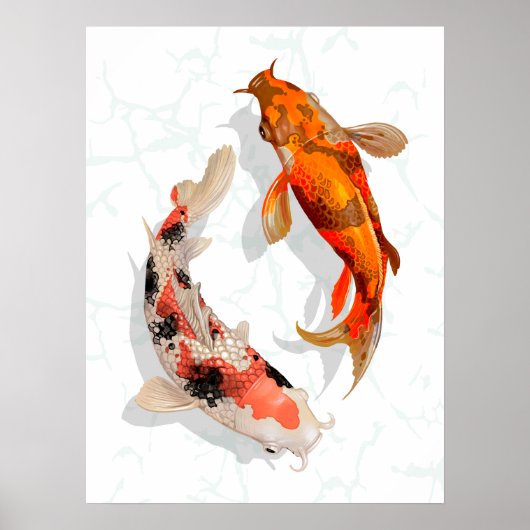 Japanse Koi Pond Poster (Voorkant)